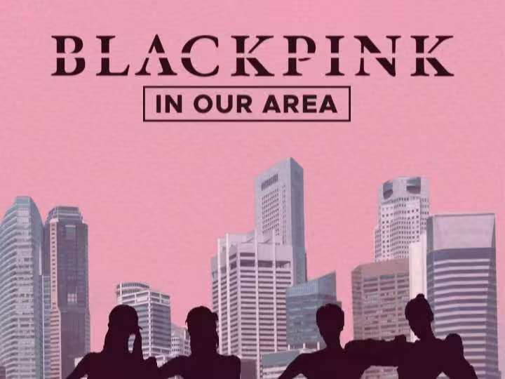 粉丝设计的《BORN PINK》演唱会纪念海报